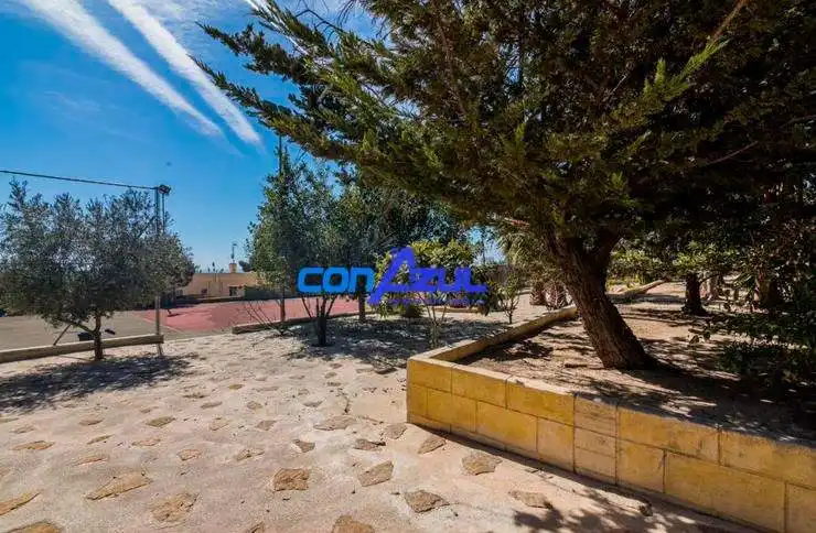 Jardí de Casa o xalet en venda en Elche / Elx amb Jardí privat, Terrassa i Piscina