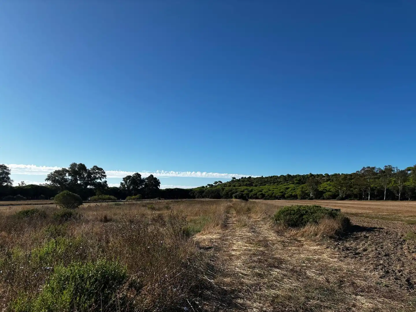 Residential land for sale in Núcleo urbano, imagen 2