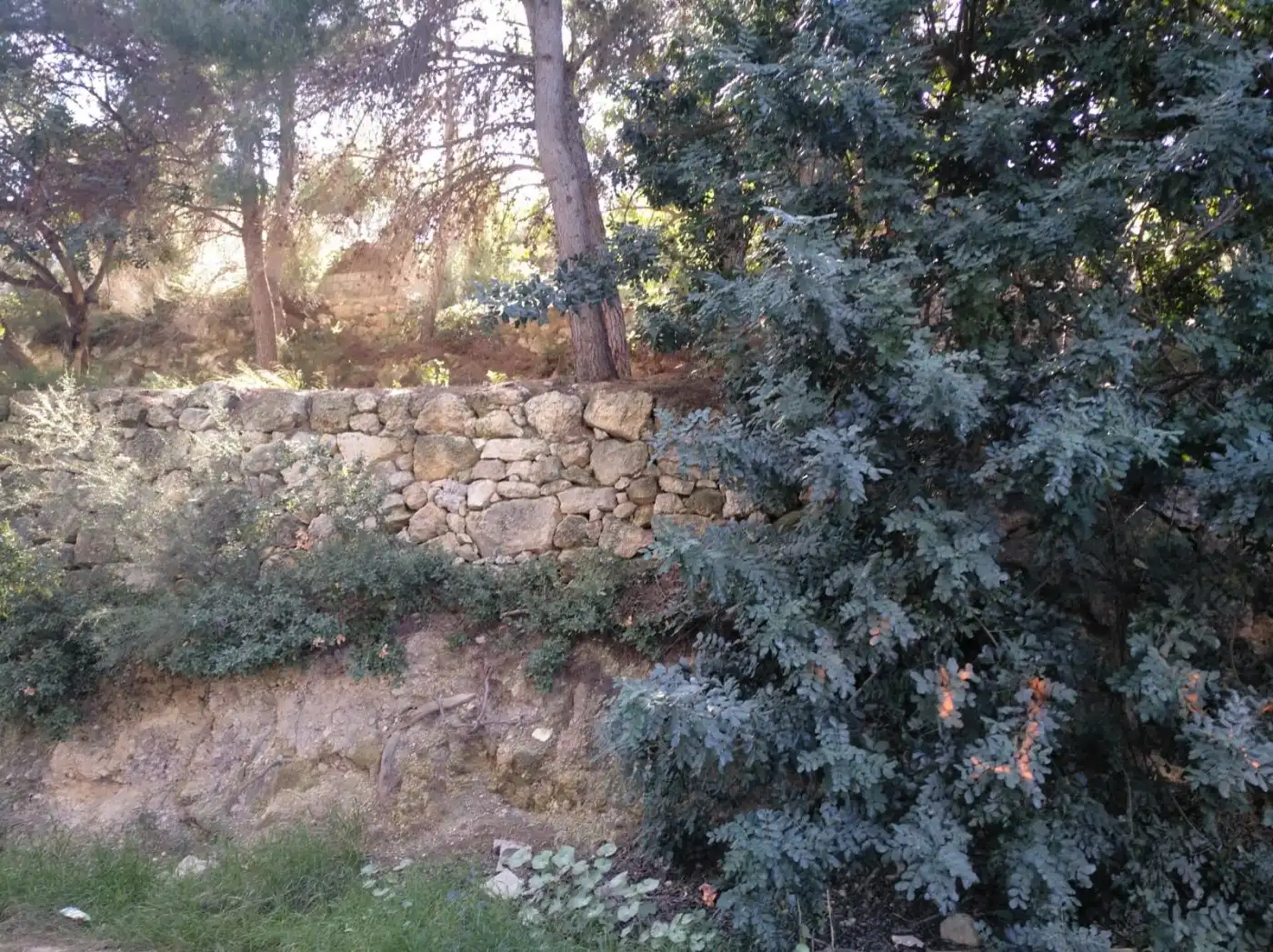 Terreno residenziale in vendita a Gestalagar, imagen 2