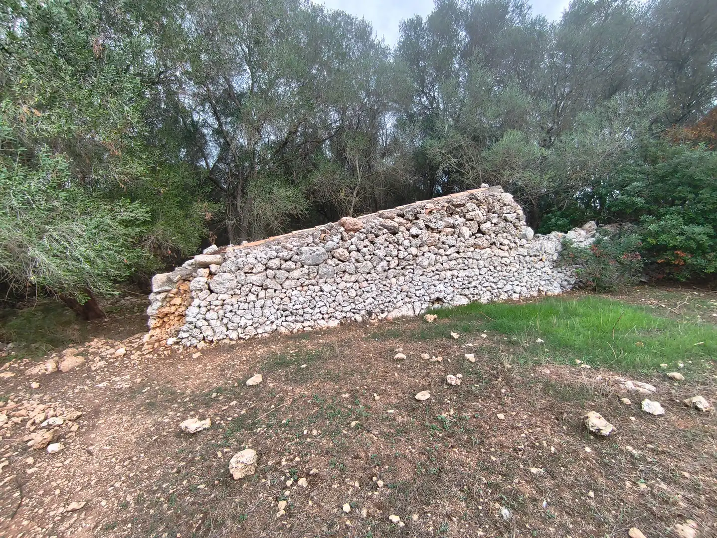 Rural land for sale in Ariany, imagen 5
