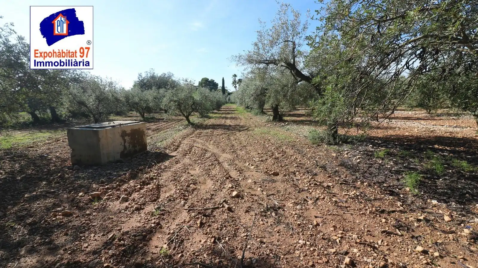 Lands and plots for sale in Carrer Partida Tarrès