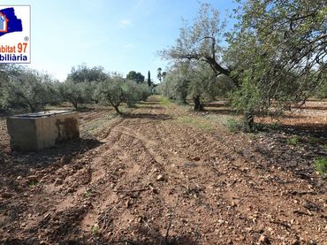 Terrenys i solars en venda a Carrer Partida Tarrès