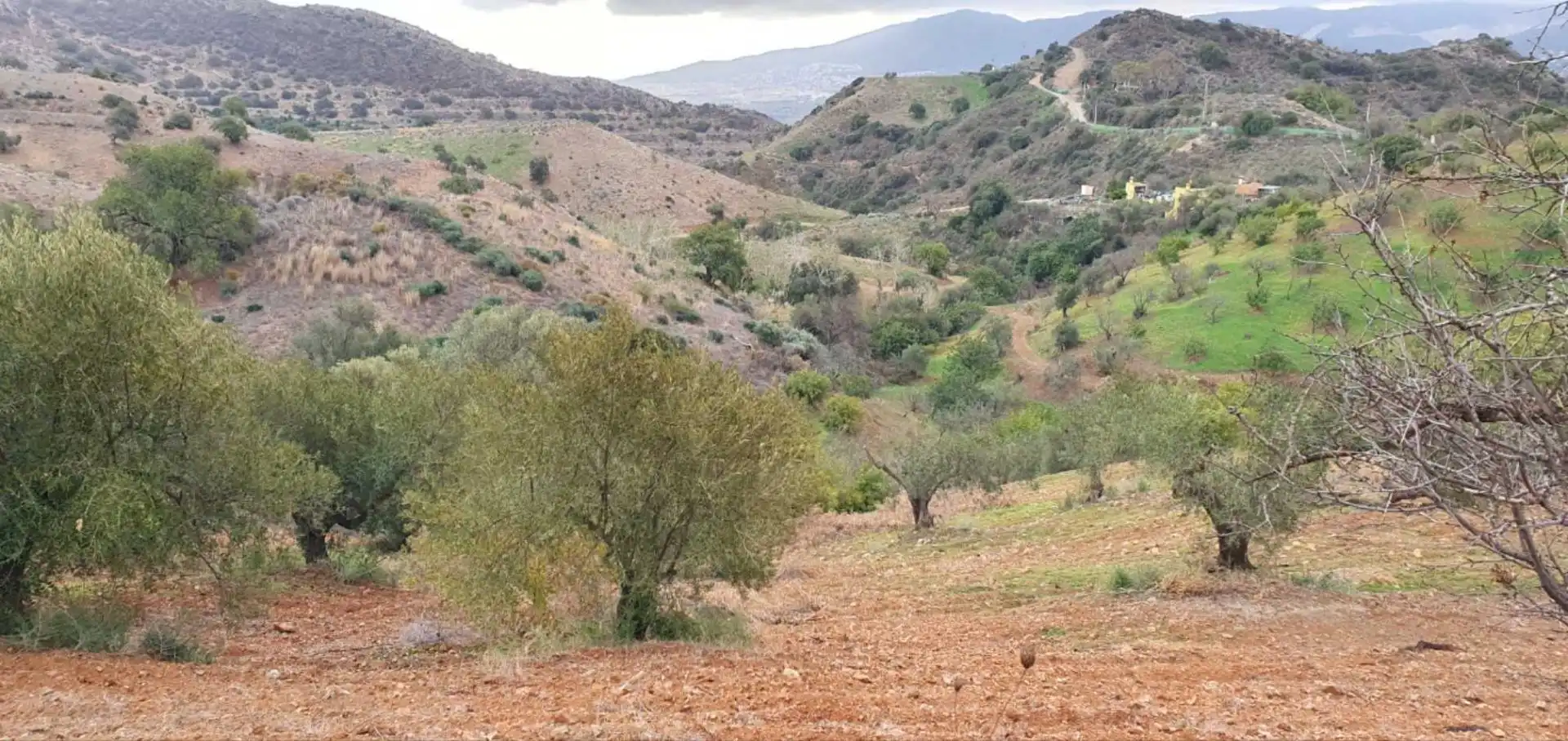 Terreni e lotti in vendita a Cártama pueblo, imagen 21