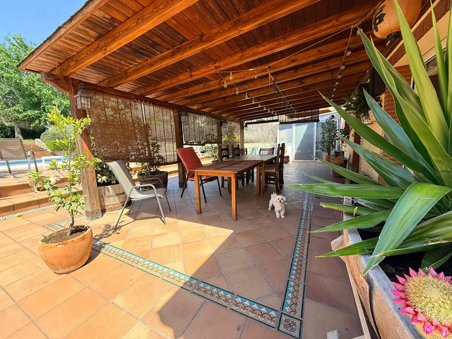 Casa o xalet en venda a Olèrdola, Barcelona