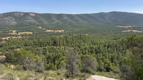 🌿 FINCA ÚNICA EN VENTA EN CEHEGÍN – NATURALEZA, PRODUCCIÓN Y FUTURO EN UNA SOLA PROPIEDAD 🌿, imatge 2
