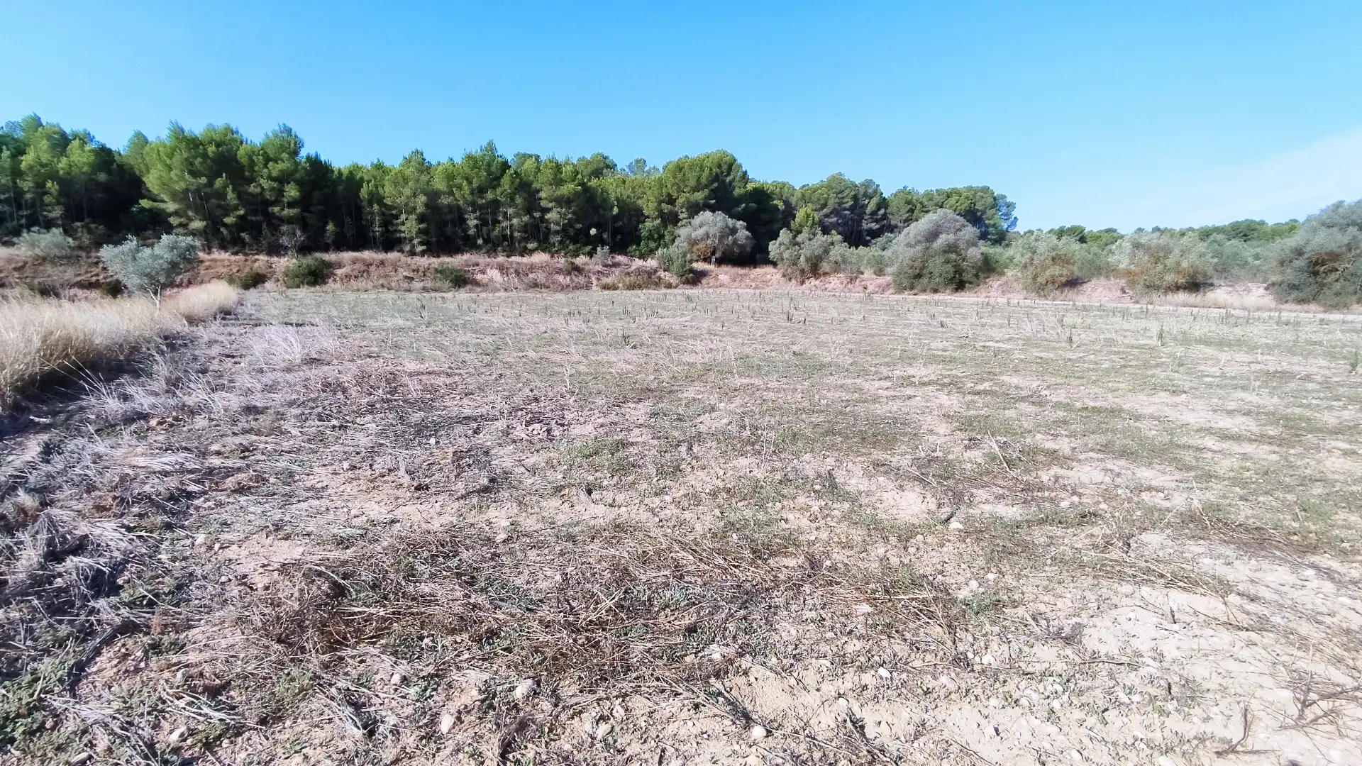 Terrain rustique à vendre à Avinguda de Pius XII 18B, imagen 11