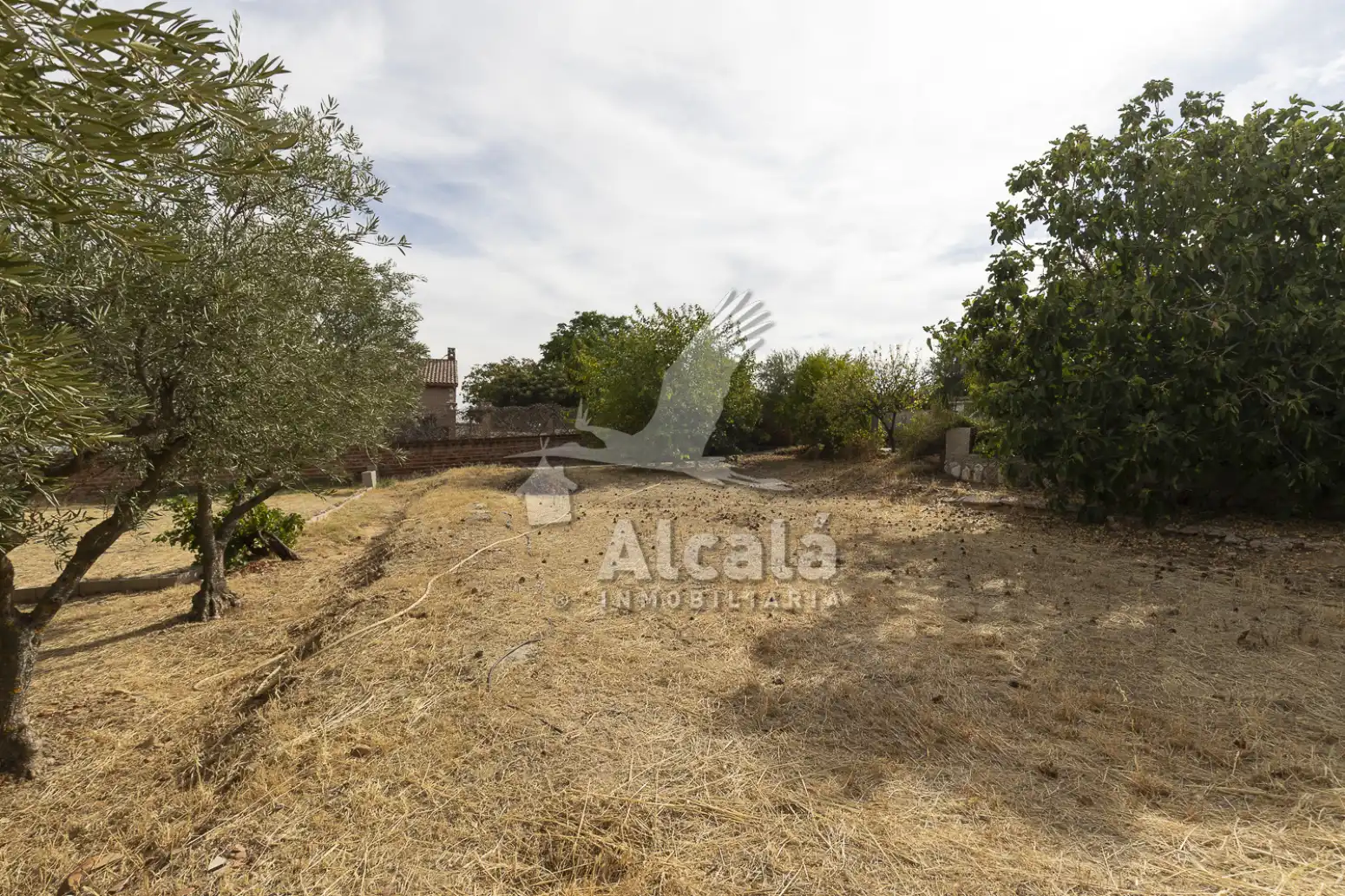 Maison à vendre à Camarma de Esteruelas, imagen 77