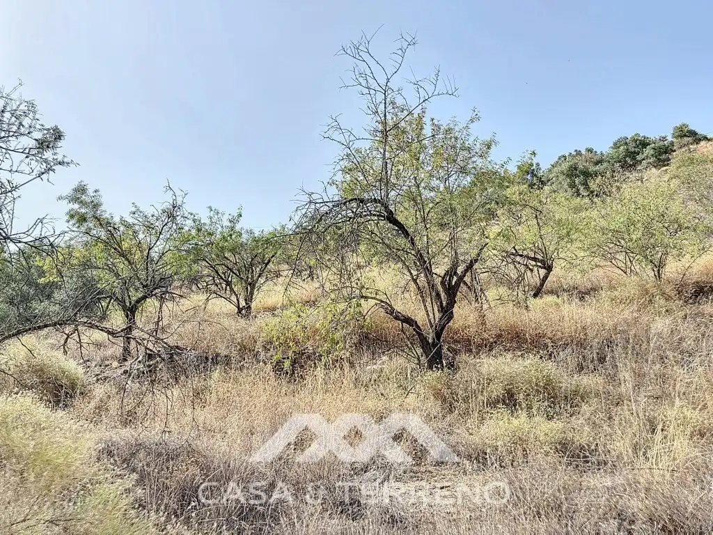Casa o chalet en venta en Arenas