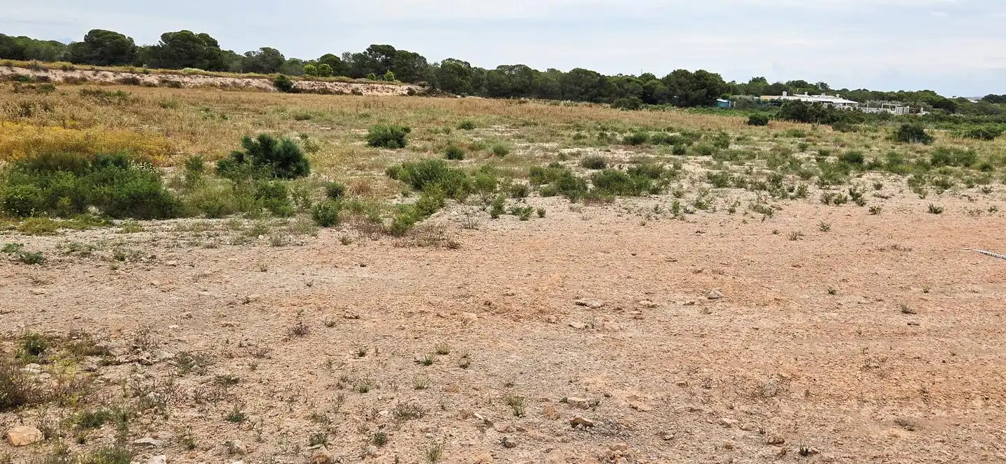 Grundstücke und Bauplätze zum Verkauf in Valverde, imagen 2