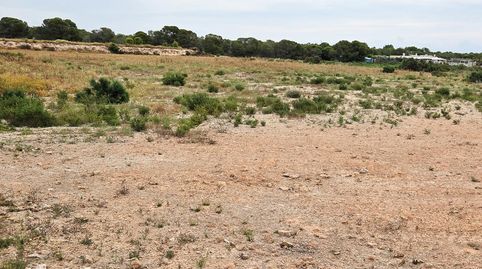 Foto 2 de Residencial en venta en Valverde, Elche / Elx