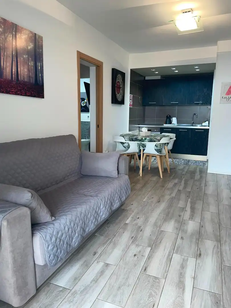 Apartamento con piscina en alquiler en Calle Montañita, imagen 13