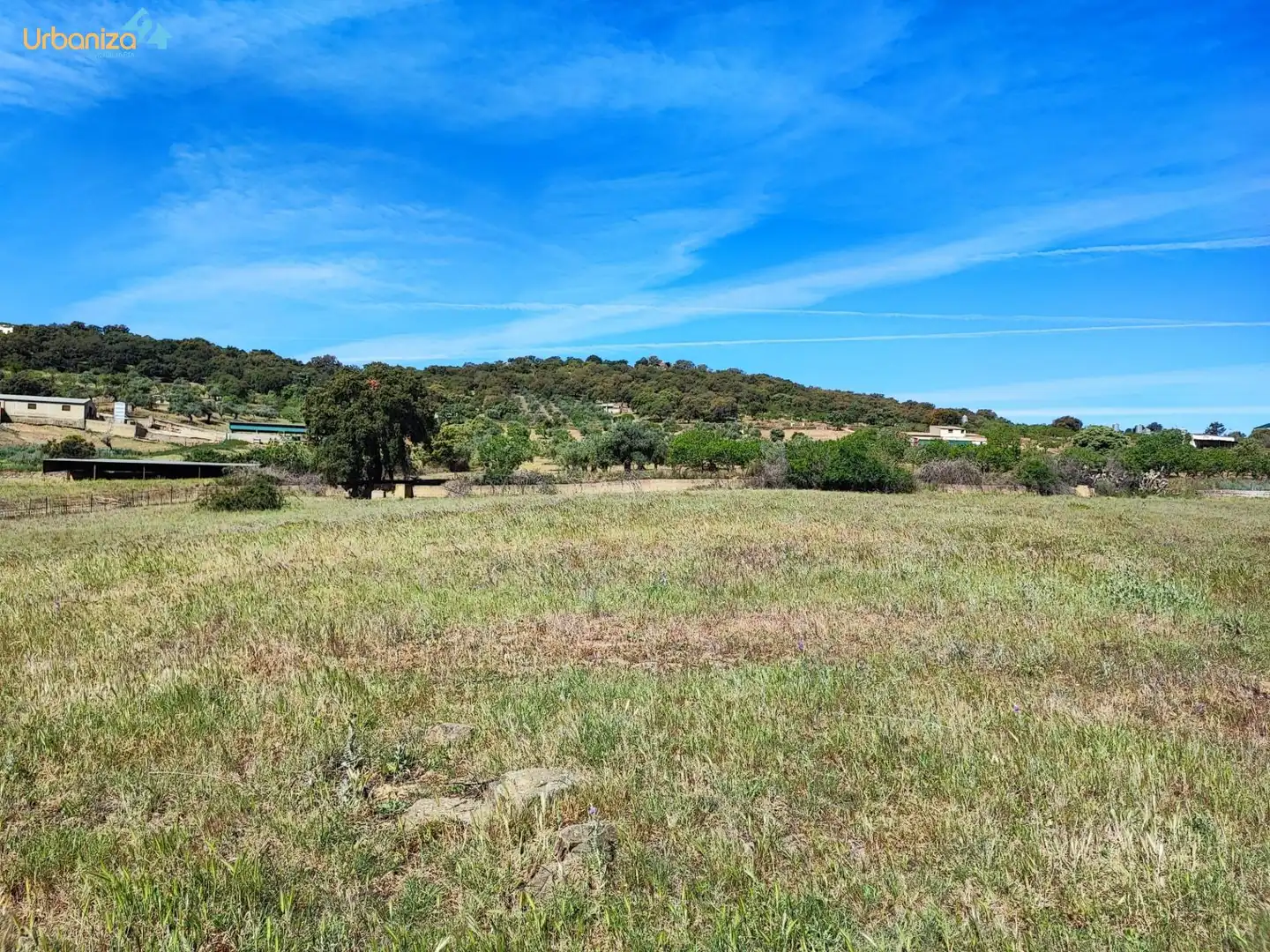 Land for sale in Salvaleón
