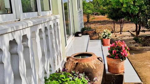 Foto 3 de Finca rústica en venda a Càlig, Castellón