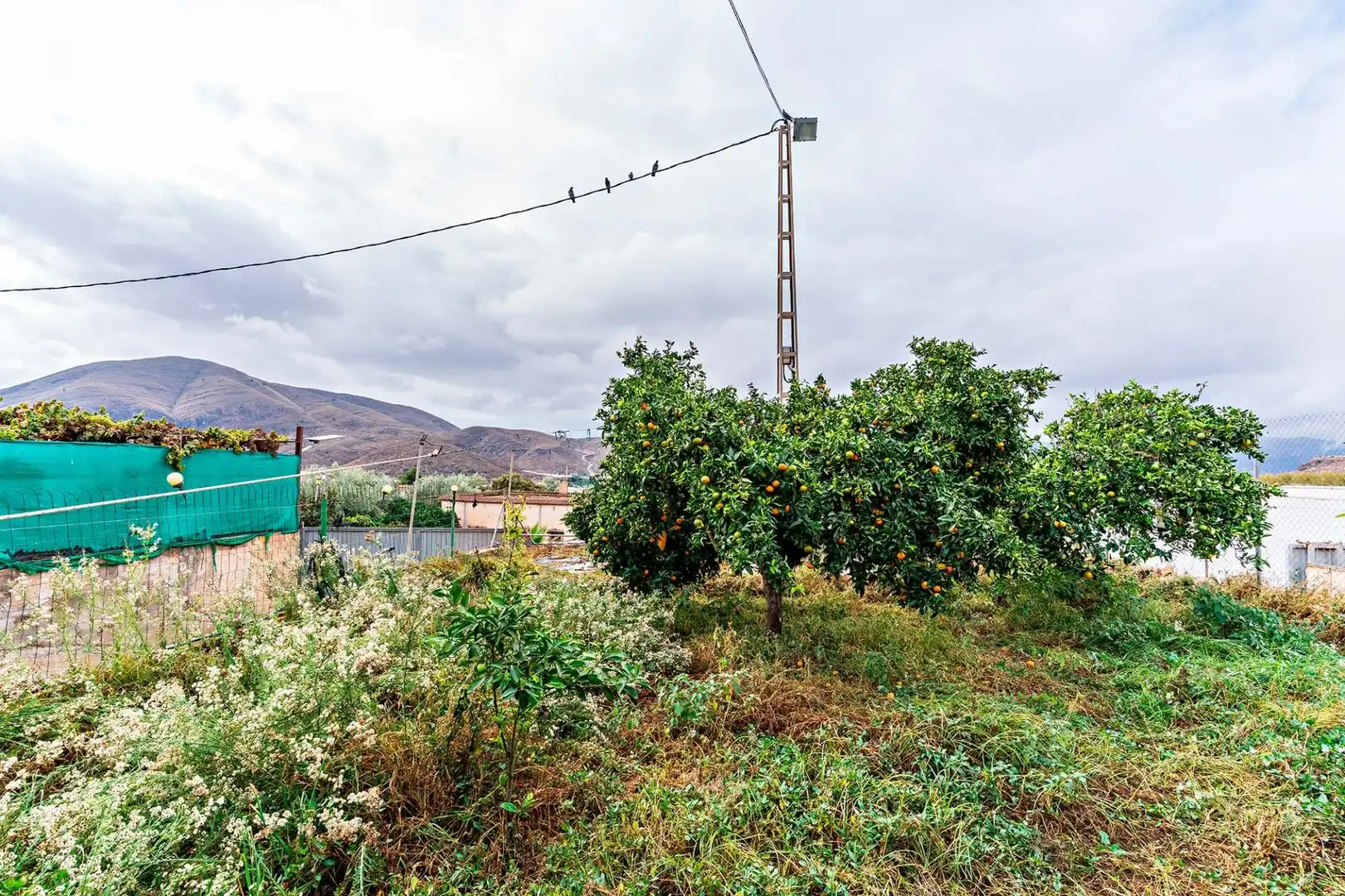 Casa o xalet en venda a Polígono Berja, Berja