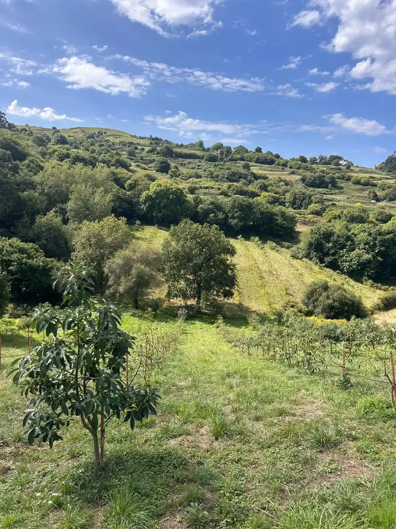 Country house zum Verkauf in El Callejo - La Pesquera - La Arenosa 