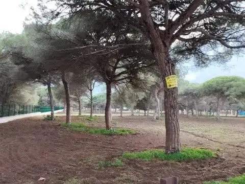Terreni e lotti in vendita a carril del Pilahito 9, imagen 5