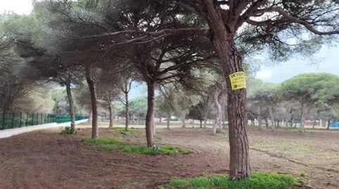 magnifica parcela proxima a playa cal del aceite frente camping , imatge 5