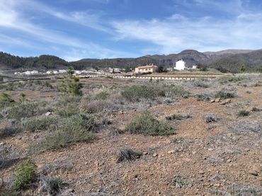 Terreno rústico en venta en Vilaflor de Chasna