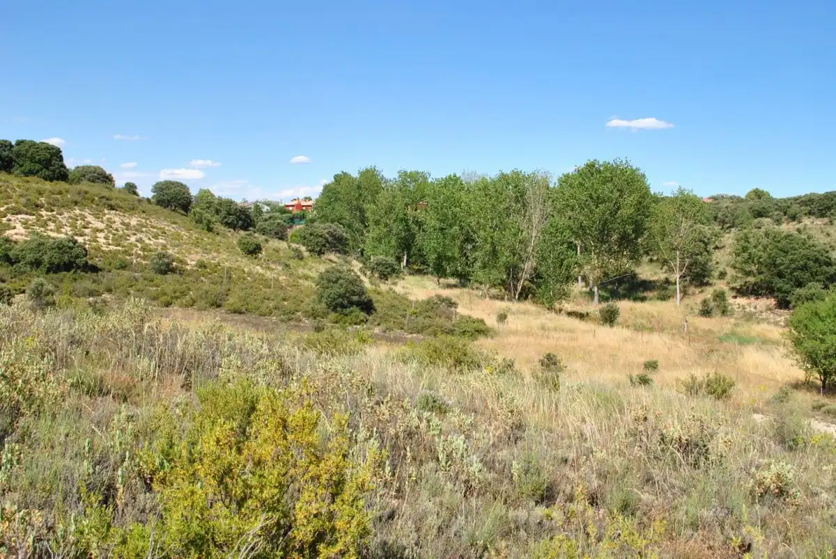 Residencial en venta en Loranca de Tajuña