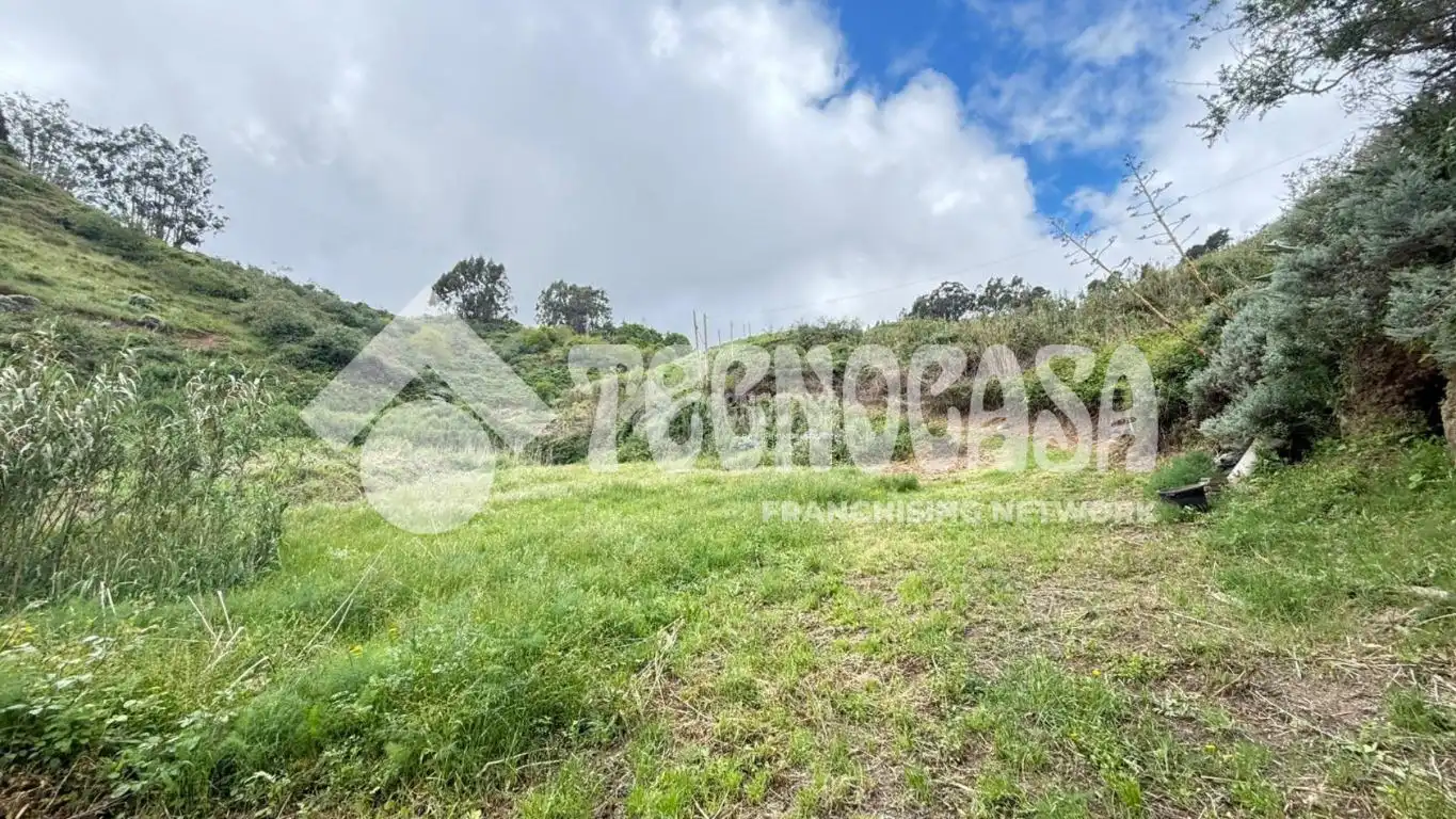 Terreno en venta en Moya (Las Palmas)