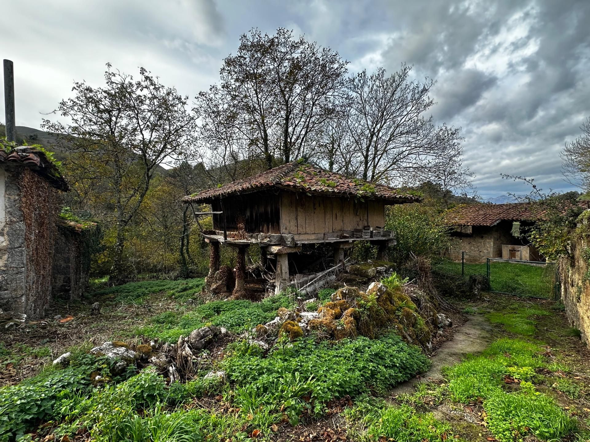 Vista exterior de Casa o chalet en venta en Cangas de Onís con Jardín privado