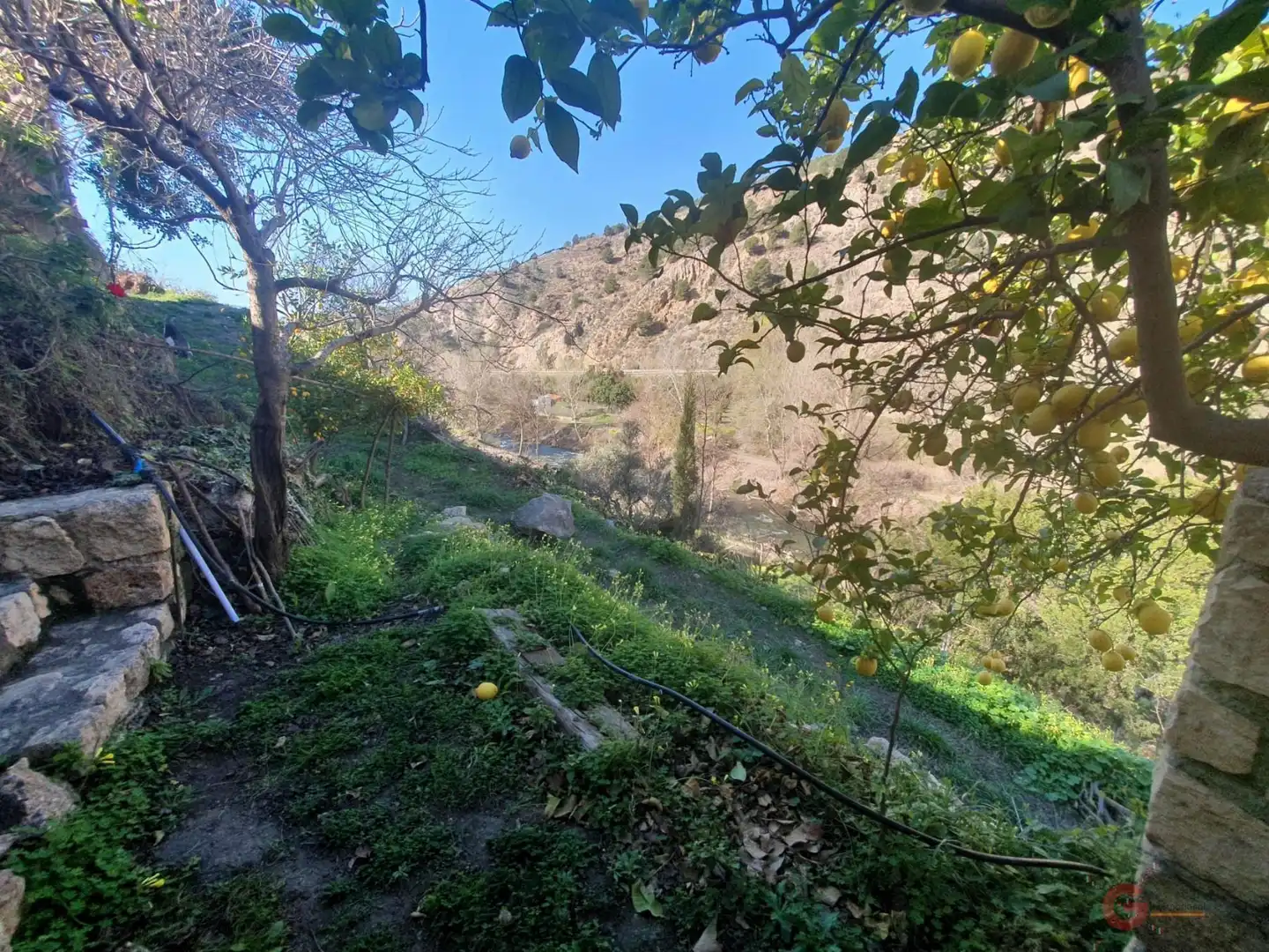 Casa rústica amb piscina en venda a Vélez de Benaudalla, imagen 2