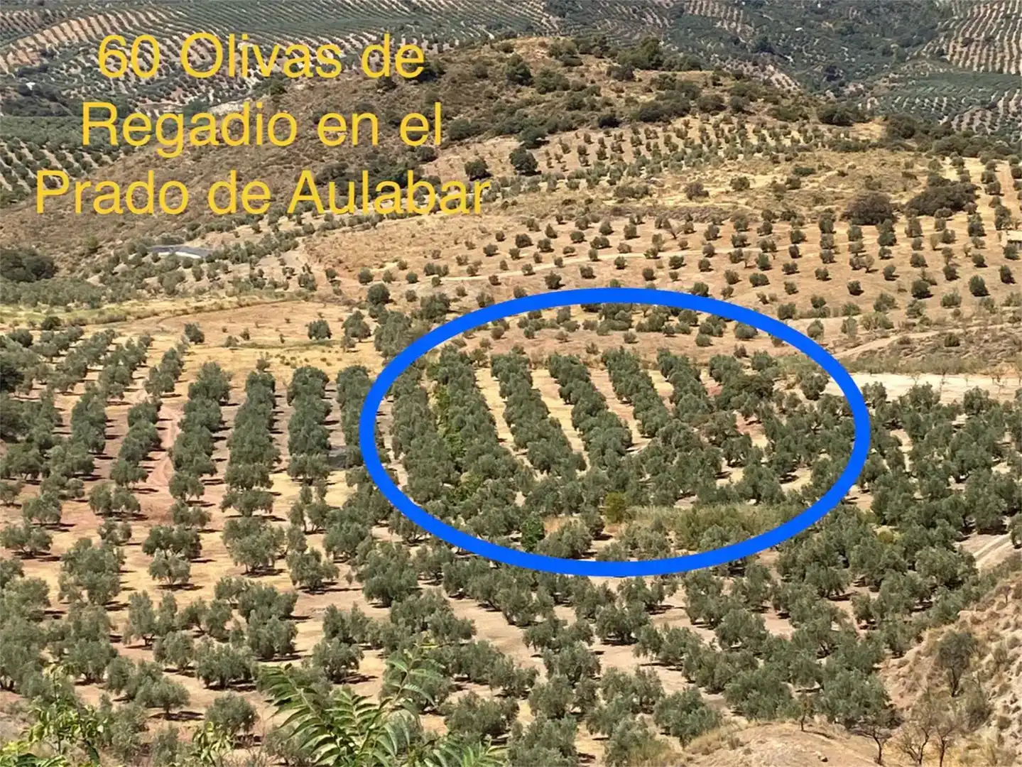 Finca rústica en venda en Bélmez de la Moraleda amb Traster, Moblat i Balcó