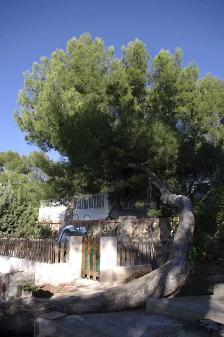 Garden of Houses for sale in Toledo  with Private garden, Terrace and Storage room