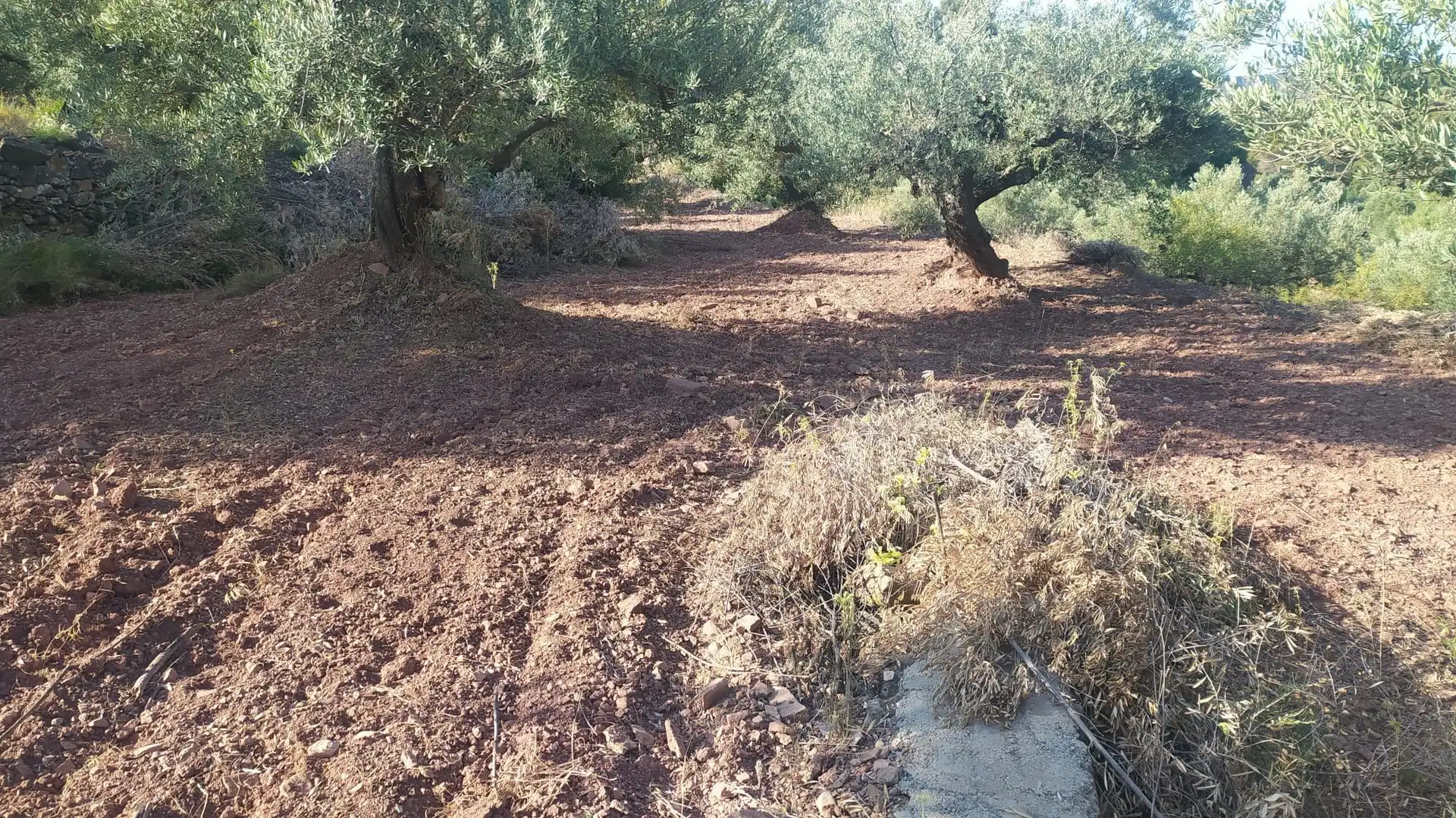 Residential land for sale in Gátova, imagen 3