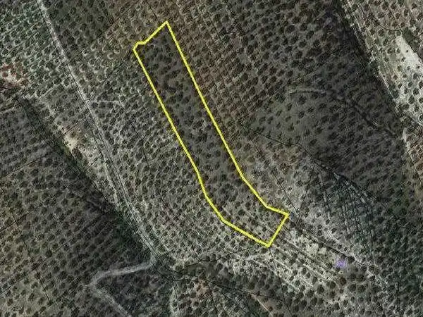 Terreni e lotti in vendita a Alcaudete, imagen 24