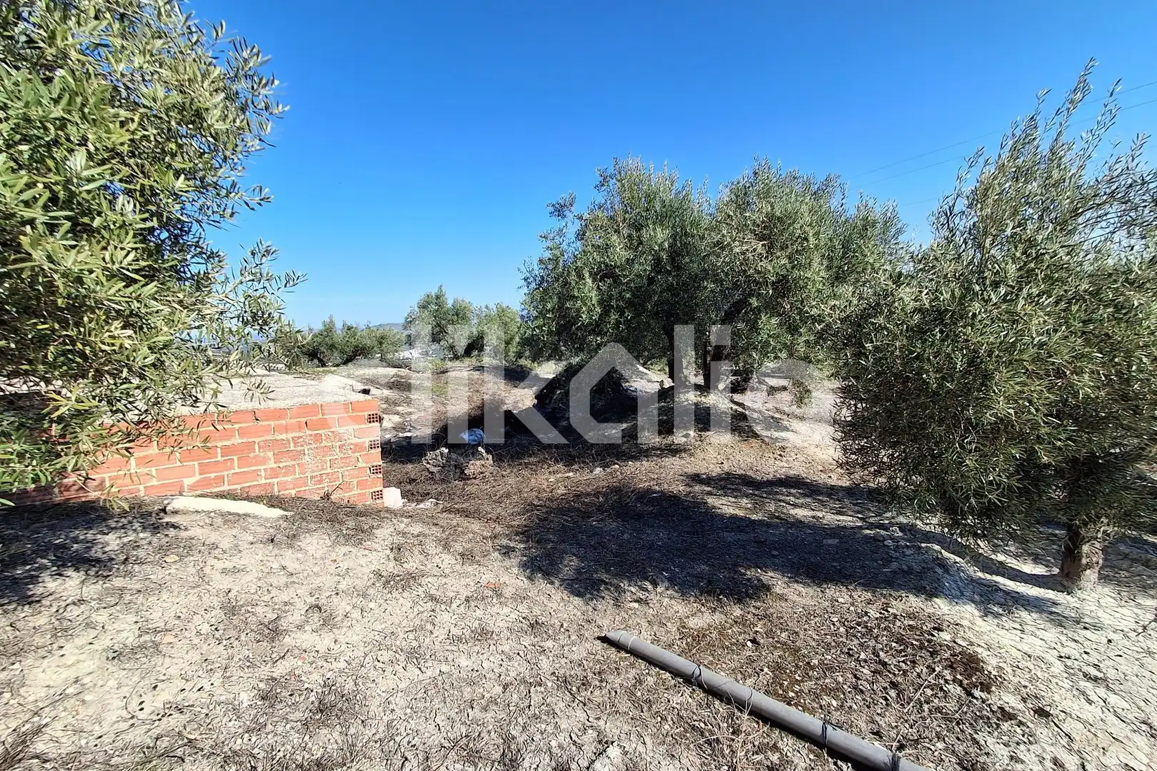 Casa o chalet en venta en Arjona con Terraza y Piscina