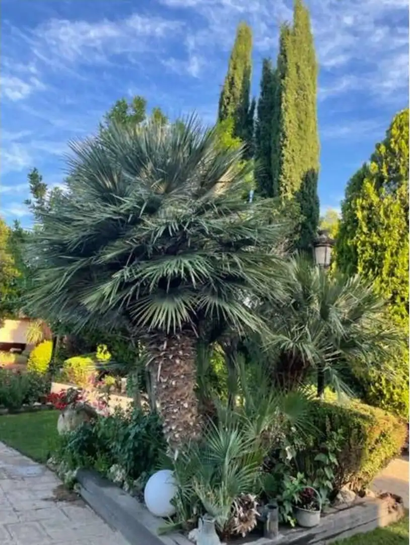 Villa mit Pool zum Verkauf in Avinguda Comte Jaume d'Urgell, imagen 20