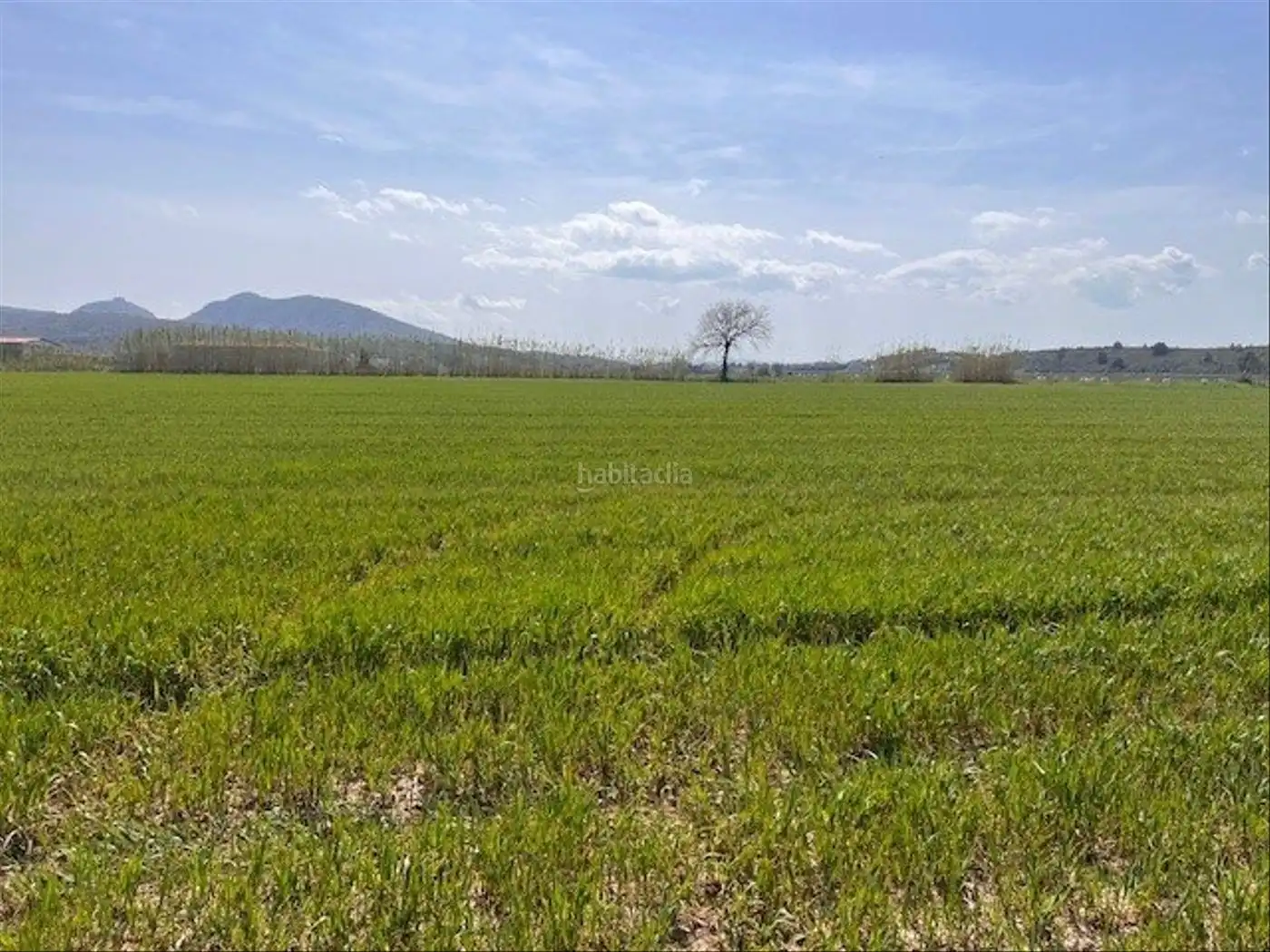 Rural land for sale in Camí Horts de Sant Joan 14, imagen 8