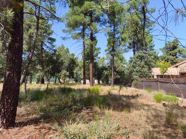 Terreny residencial en venda a Calle de los Abetos 106