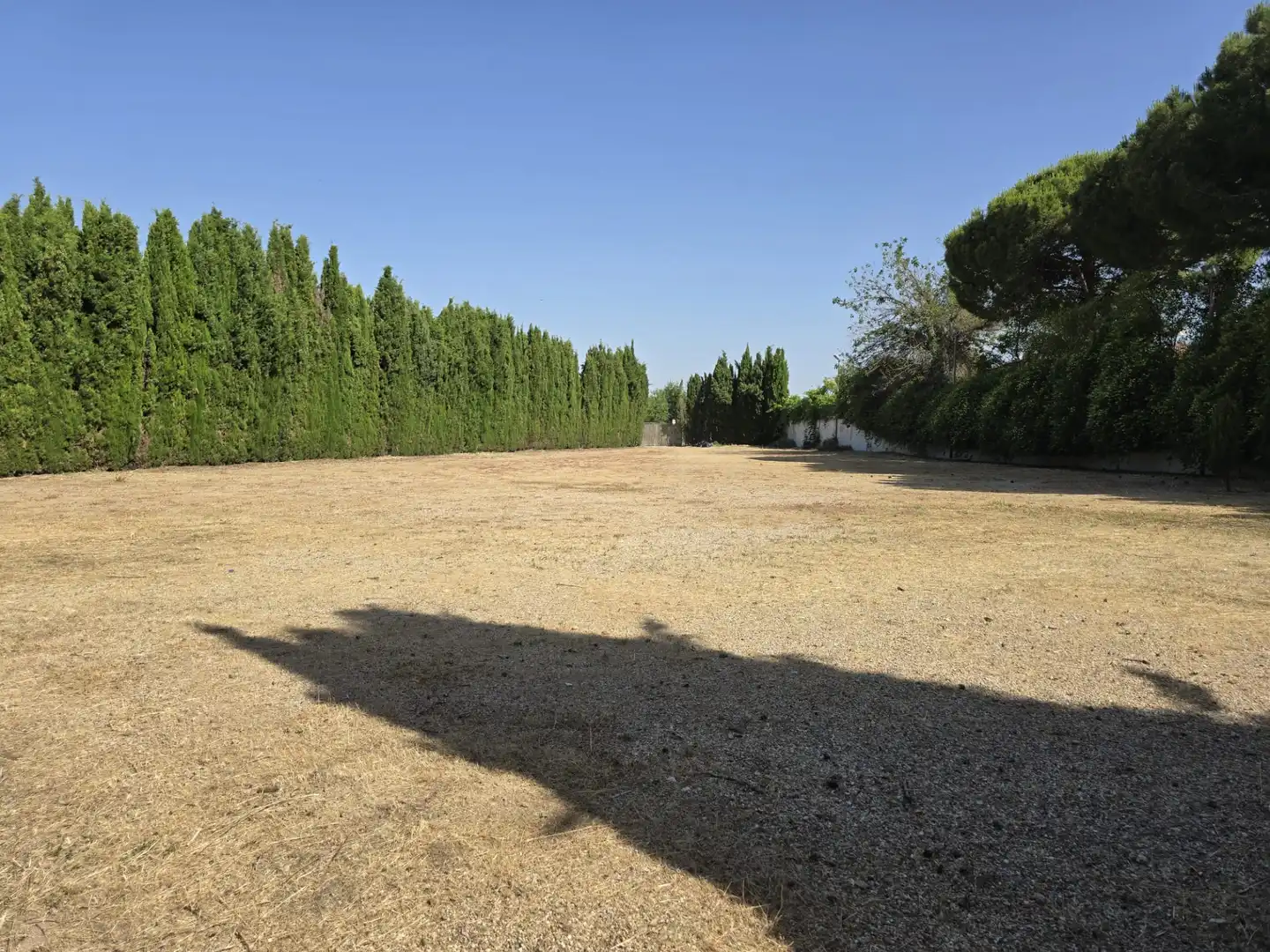 Buildings for sale in Esquivias  with Alarm