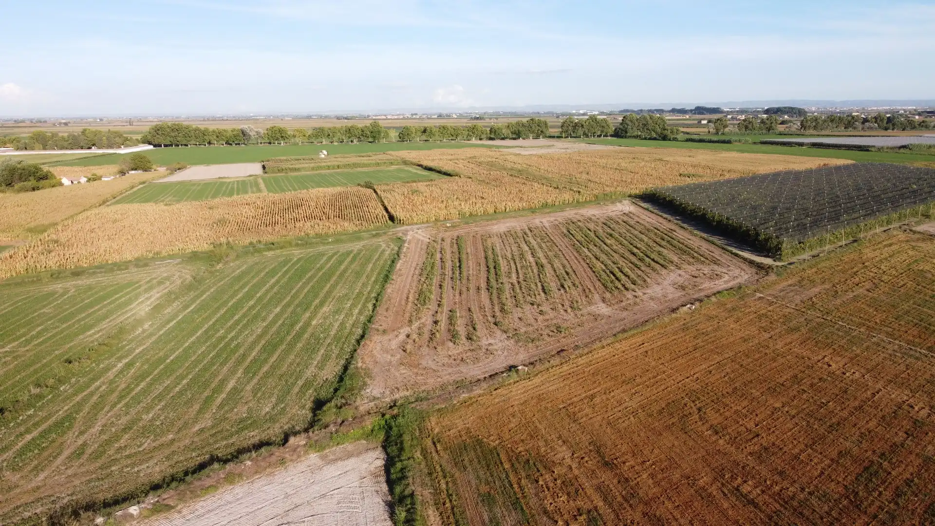 Rural land for sale in Avinguda Balaguer 1981, imagen 3