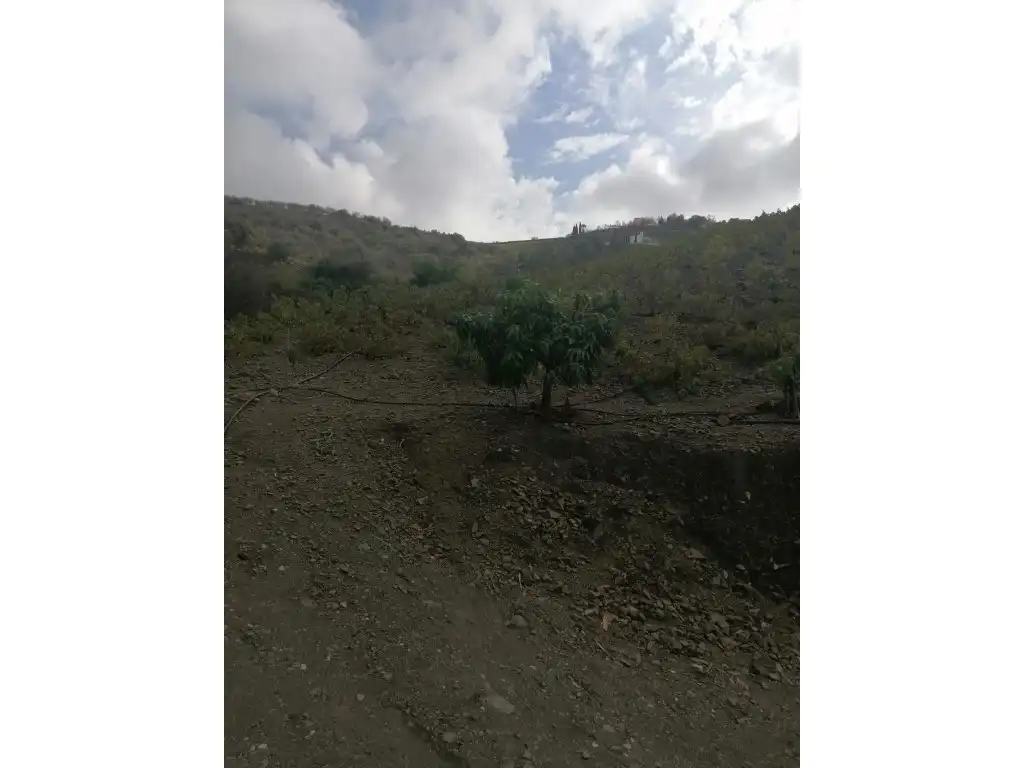 Casa en venta en Viñuela, imagen 15