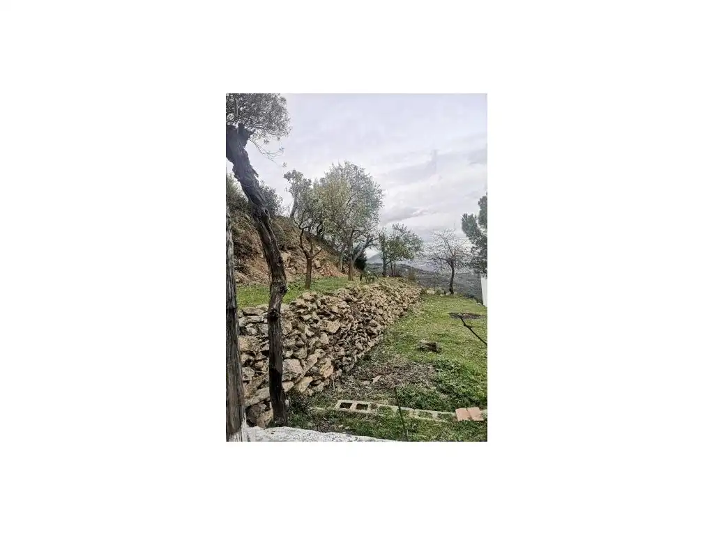 Casa rústica en venta en Algatocín, imagen 22