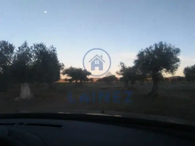Terreni e lotti in vendita a Valsequillo, imagen 9