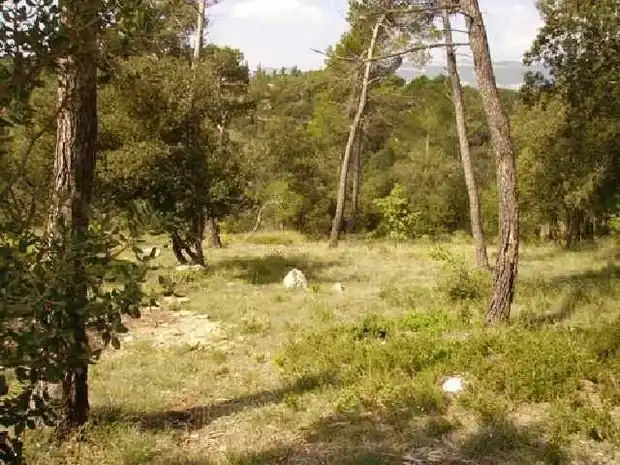 Terreno residenziale in vendita a Seva, imagen 2