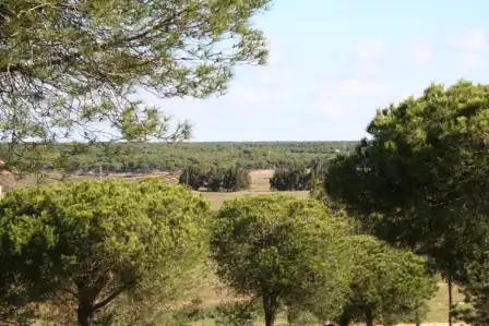 Residential for sale in El Rompido
