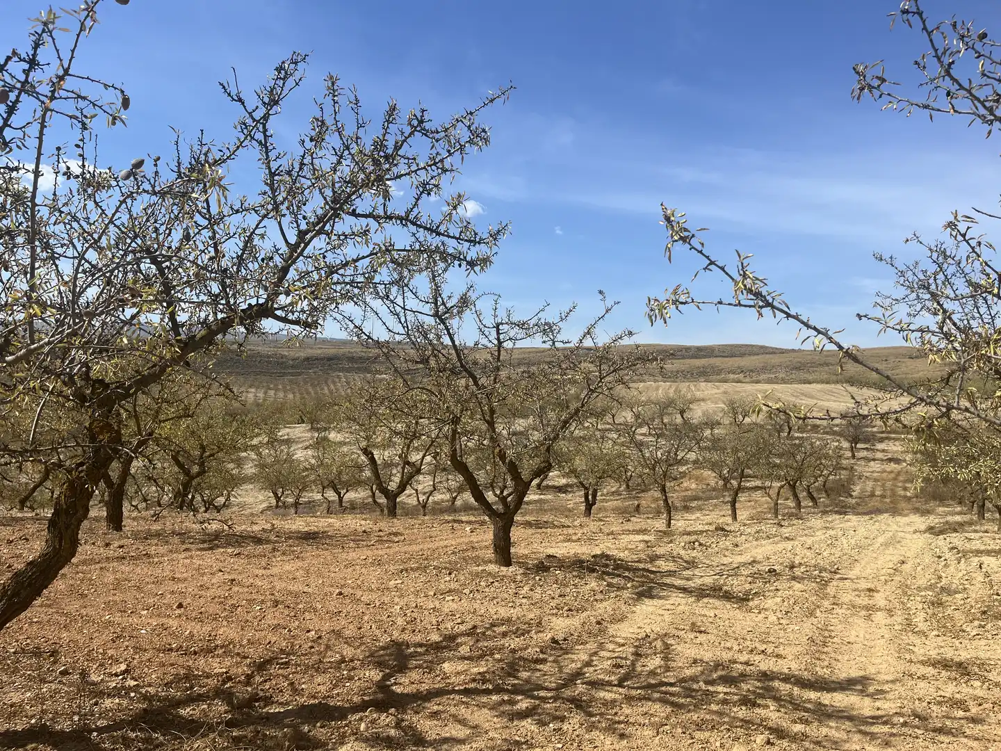 Rustikales Grundstück zum Verkauf in Avenida de Andalucía, imagen 9