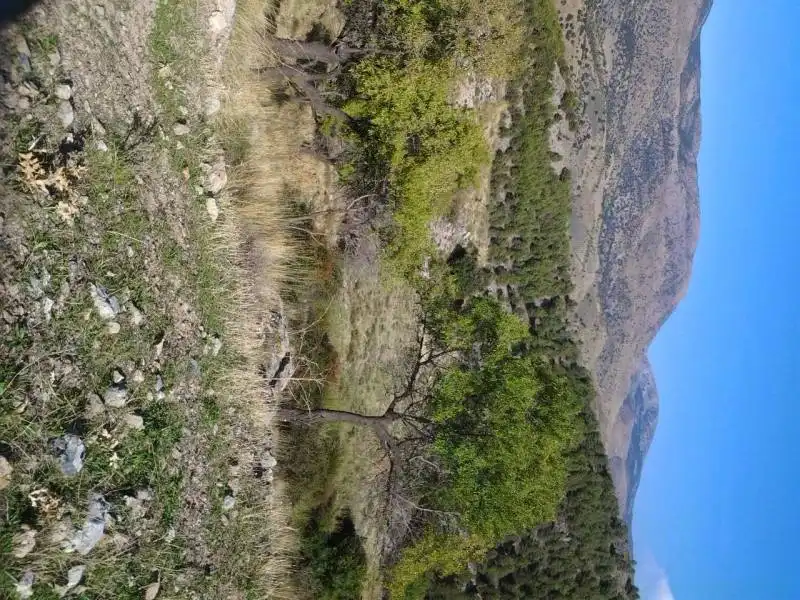 Casa rústica amb jardí en venda a Guadix, imagen 16
