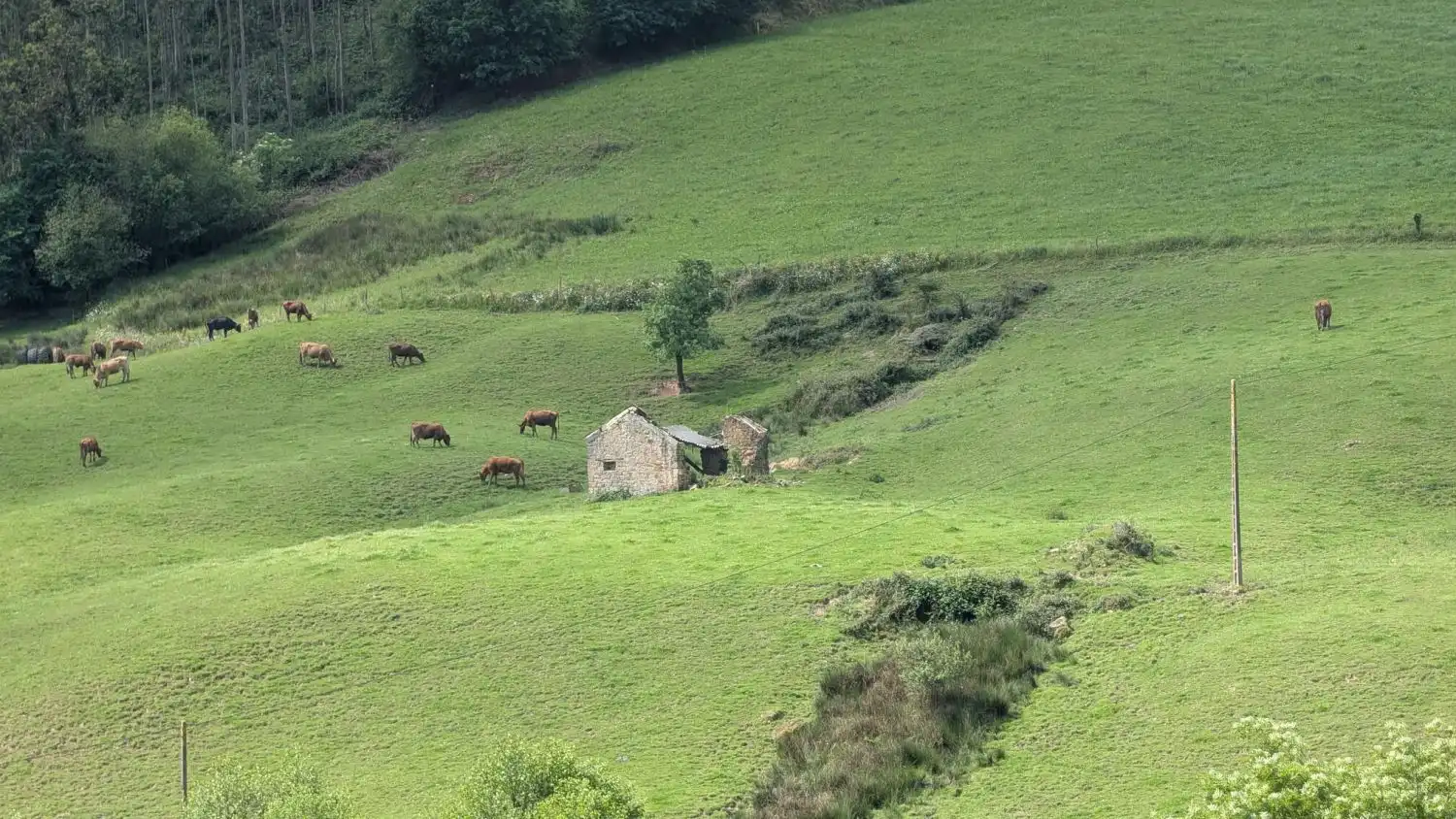 Exterior view of Country homes for sale in Piélagos
