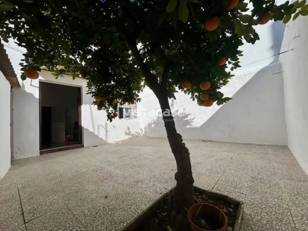 Vista exterior de Casa o xalet en venda en Mairena del Alcor amb Aire condicionat i Terrassa