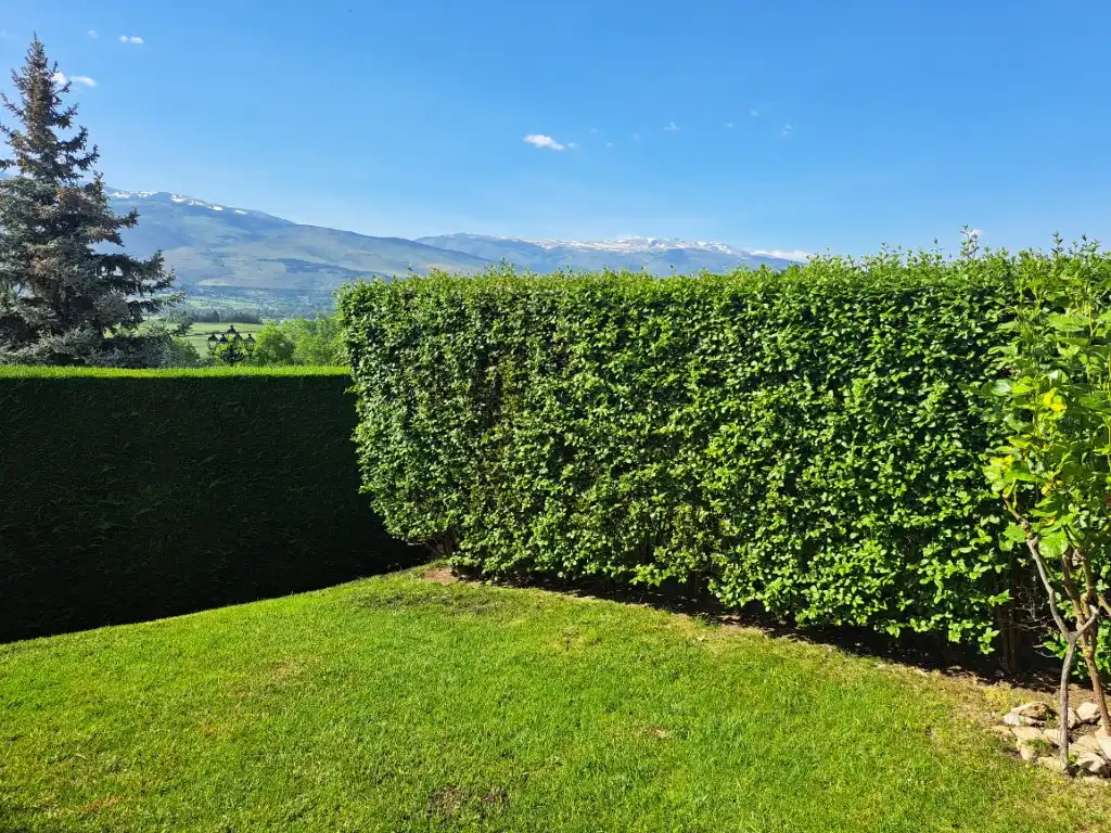 Garden of Detached homes for rent in Fontanals de Cerdanya  with Heating, Private garden and Parquet flooring