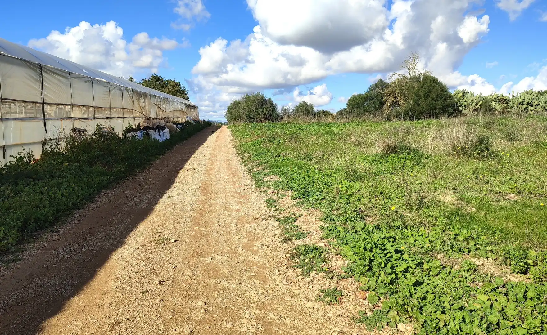 Rural land for sale in Diseminado Cdte Primero 3, imagen 3