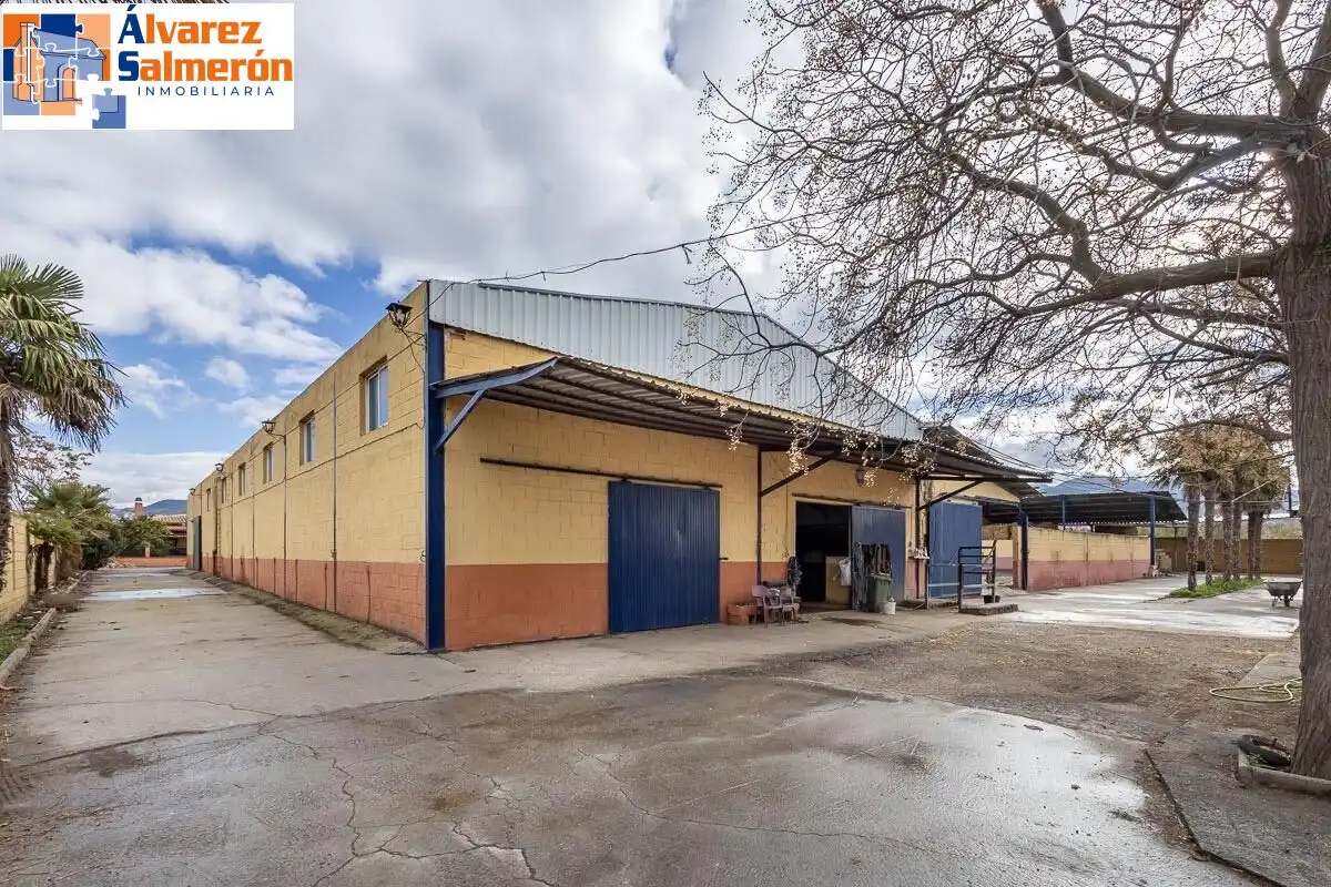 Vista exterior de Casa o xalet en venda en La Zubia amb Jardí privat
