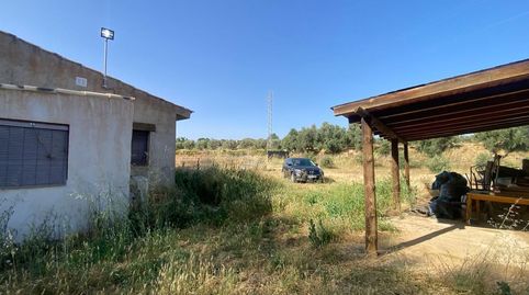 PARCELA RUSTICA EN GUADIX, GRANADA, imagen 4