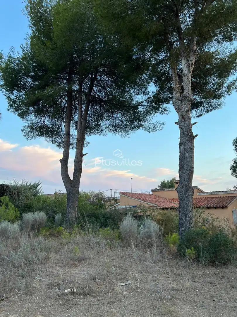 Terrenys i solars en venda a La Viña - Montemar - San Jaime, imagen 7